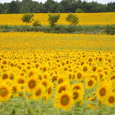 Séjour à la campagne Hameau De Pichovet *