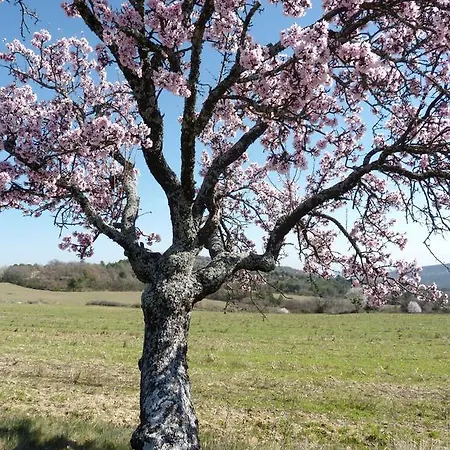 Hameau De Pichovet Vachères