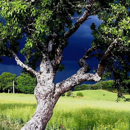 Séjour à la campagne Hameau De Pichovet *