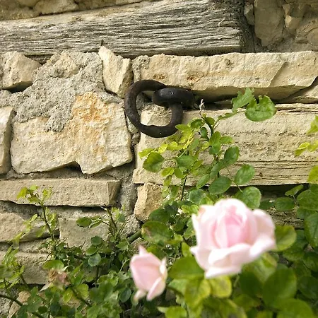 Landhuis Hameau De Pichovet