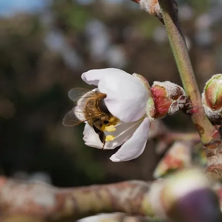 Séjour à la campagne Hameau De Pichovet Vachères